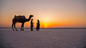 4N/5D Gujarat Rann of Kutch Tour